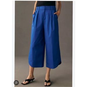 NWT! Anthropologie wide leg chino pants